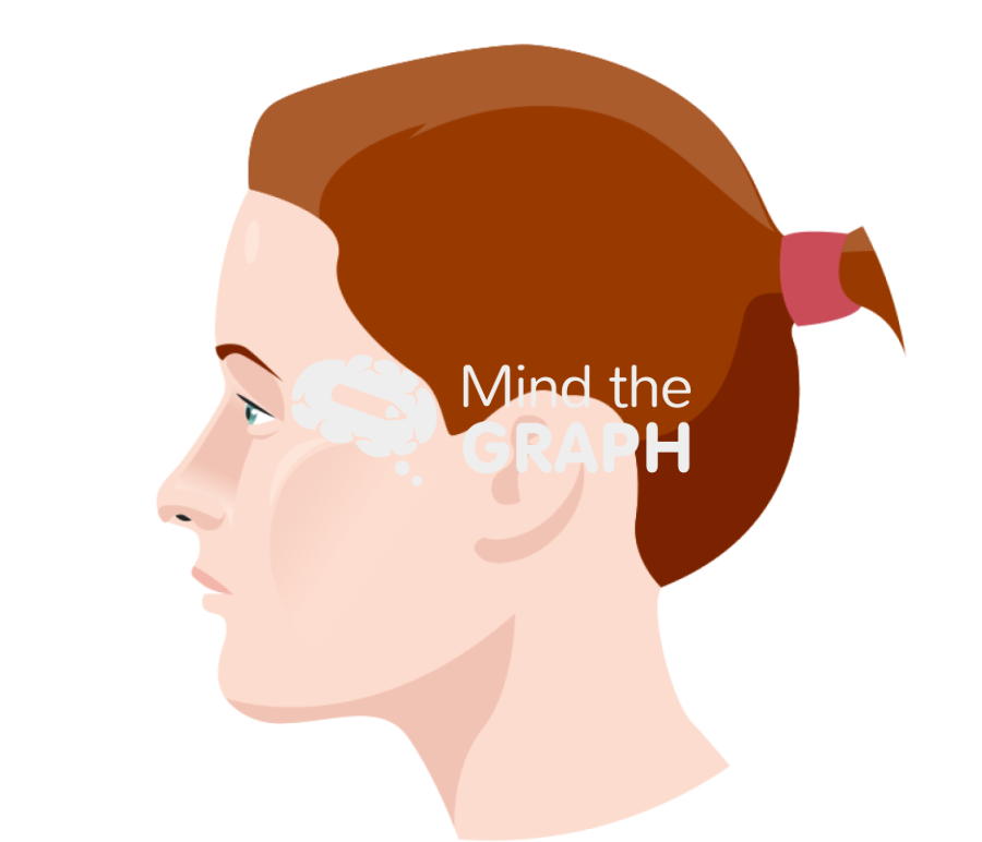 Standard face photographing rhinoplasty side view zoom Icons, Symbols, Pictures, and Images